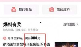 头条爆料怎么删除啊视频,轻松恢复隐私，守护个人信息安全