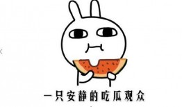 吃瓜网红的网站有哪些呀