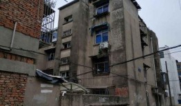 江南新村爆料视频最新一期,揭秘社区生活新动态