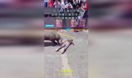 男子爆料红牛视频大全,男子爆料背后的真相揭秘