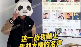 刘大锤今日爆料视频全集,今日爆料视频全集深度解析