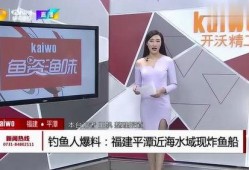 钓鱼爆料视频下载免费,免费下载背后的真相与技巧