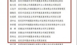 岳西最新爆料事件新闻,事件真相再掀波澜，官方调查进展如何？