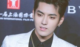 娱乐爆料吴亦凡,娱乐圈风云变幻，真相究竟如何？