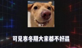 娱乐资讯八卦吃瓜,明星幕后故事大曝光！