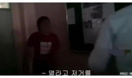 被霸凌者爆料视频大全集,被霸凌者爆料视频大全集深度解析